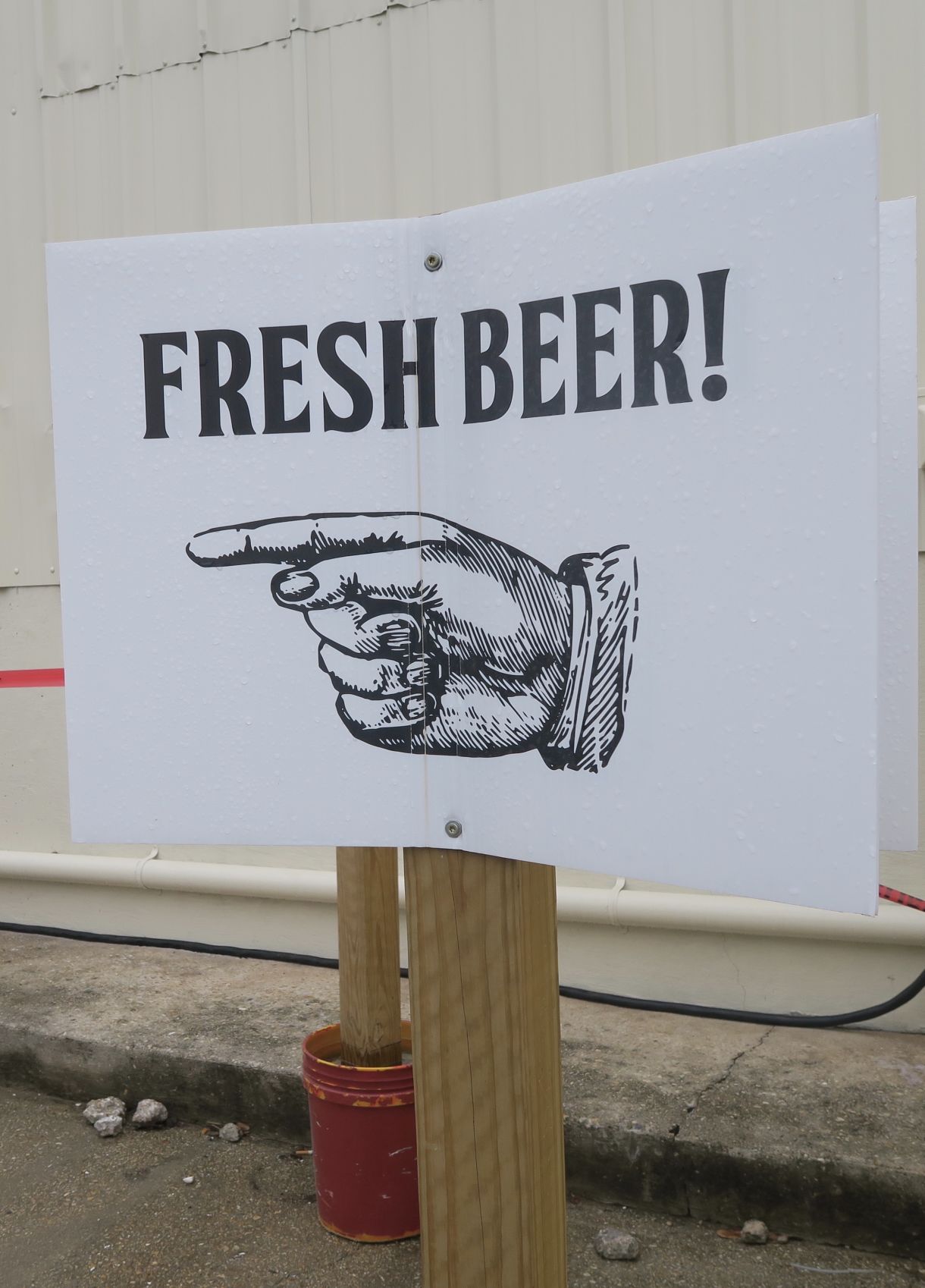 beer.jpg